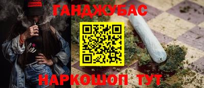 стаф Кинель
