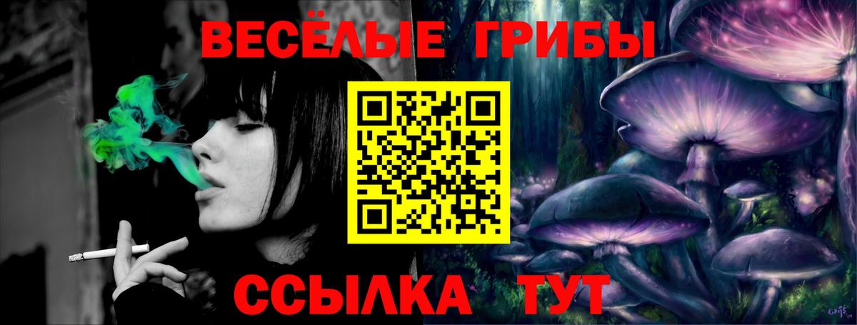 Псилоцибиновые грибы прущие грибы  Галлюциногенные грибы ЛСД  Вход с VPN  Узловая 